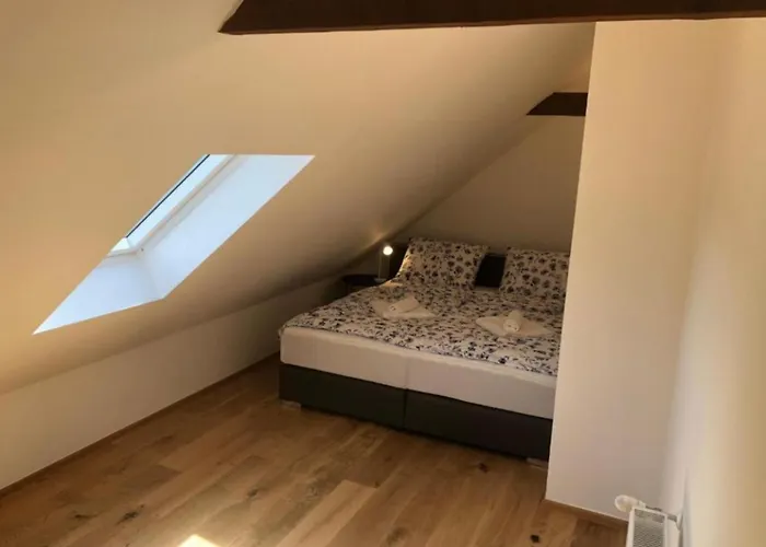 Apartma Ilirska Modern